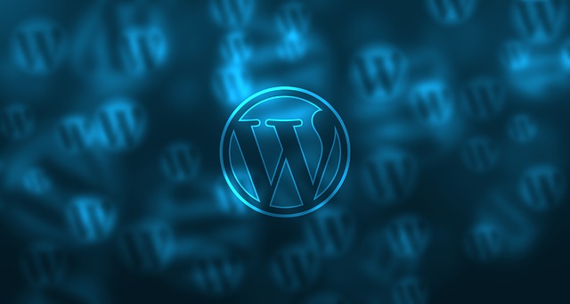 3 plugin indispensabili per Wordpress