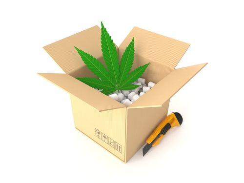 Justmary: il primo delivery di Cannabis legale a Milano