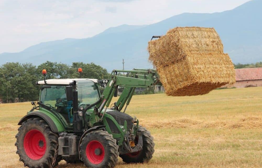 Balle di fieno, come si fanno e a cosa servono?