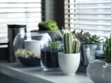 Progetto interior design: come utilizzare le piante per migliorare l'aspetto della tua casa