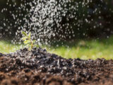 Irrigazione a goccia: che cos'è, quali vantaggi offre e come realizzare un impianto