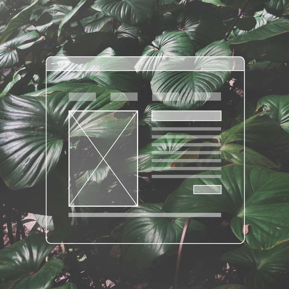 Che cos’è un tema WordPress e a cosa serve
