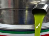 Come conservare l'olio taggiasco per mantenerne la freschezza