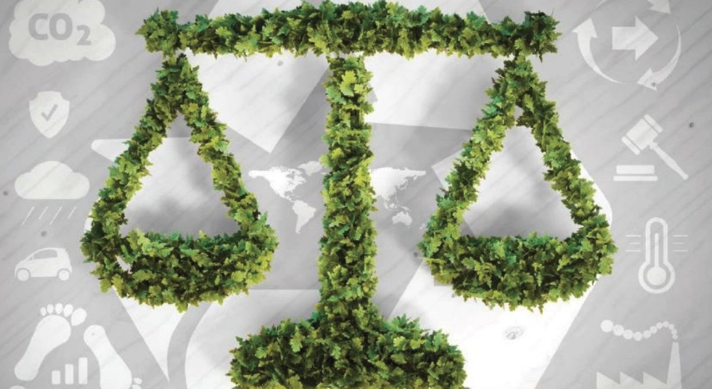 Chi è l’esperto in transizione ecologica e quali competenze possiede Chi è l’esperto in transizione ecologica e quali competenze possiede