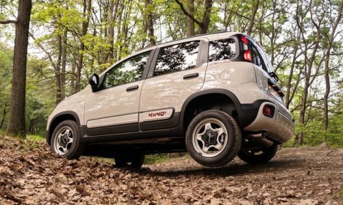 Panda 4×4 usata: cosa controllare prima dell’acquisto